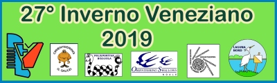 Logo Inverno Veneziano 2019